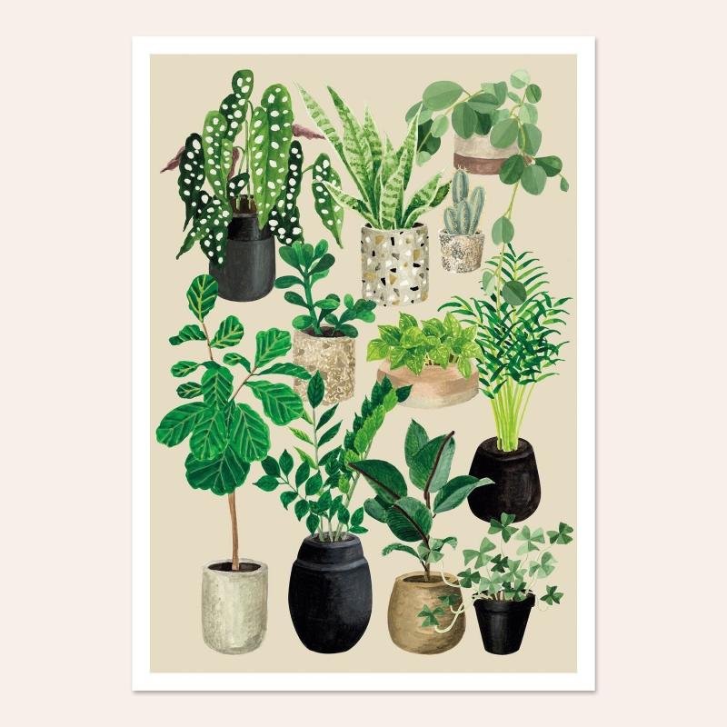 Affiche A4 Amour de plantes - craie