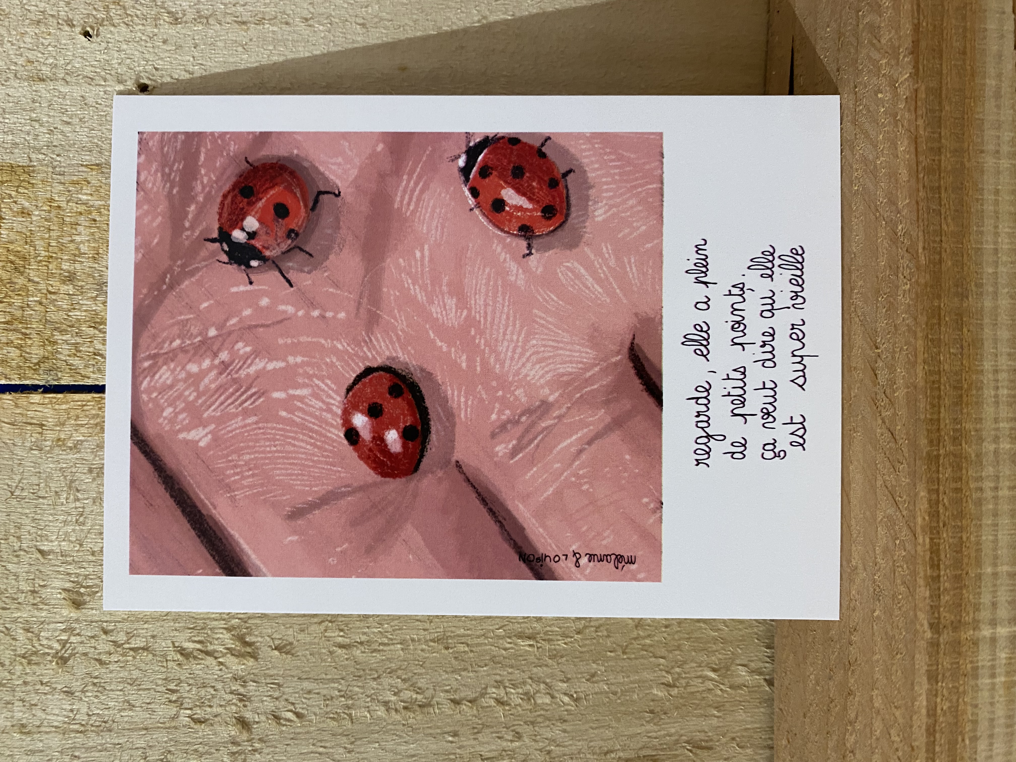 Carte postale Coccinelles