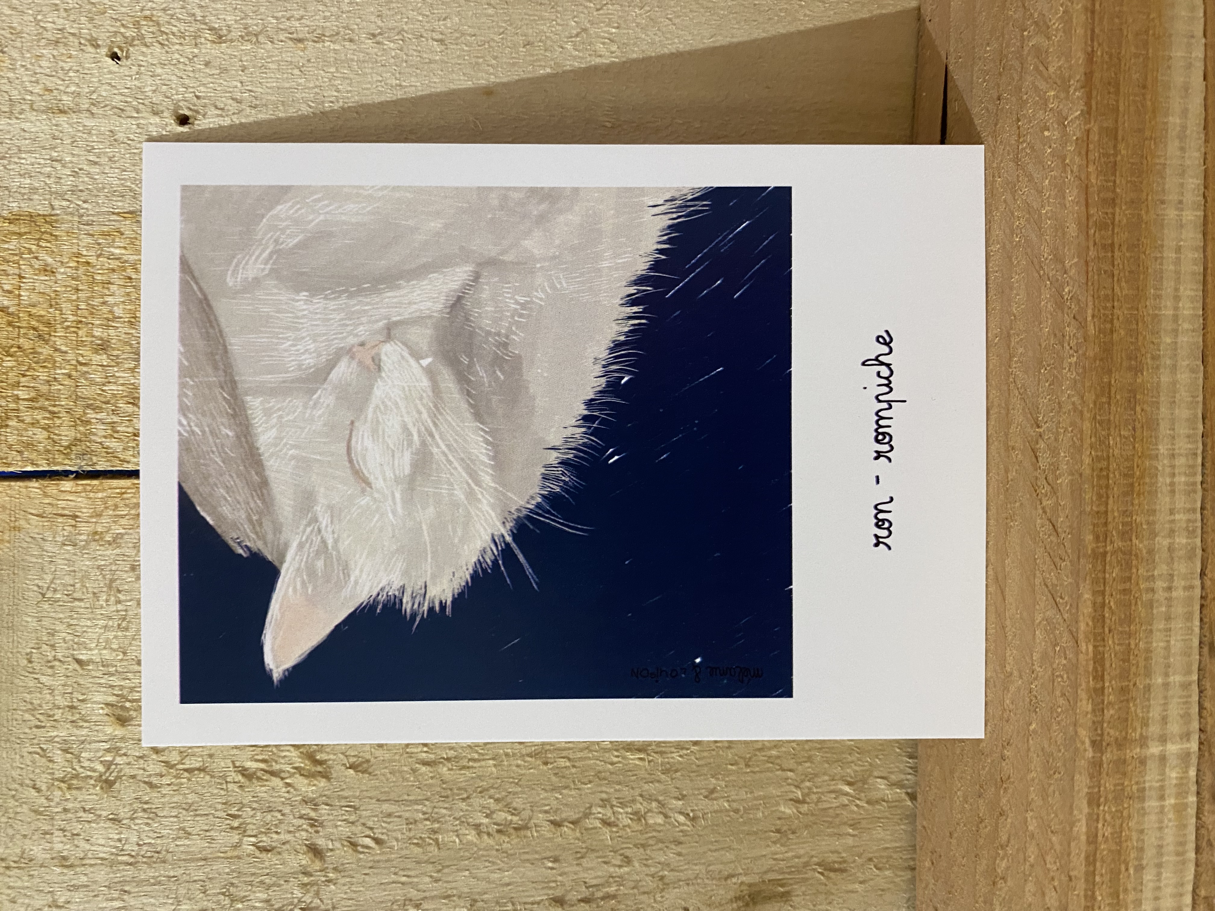 Carte postale Ron-rompiche