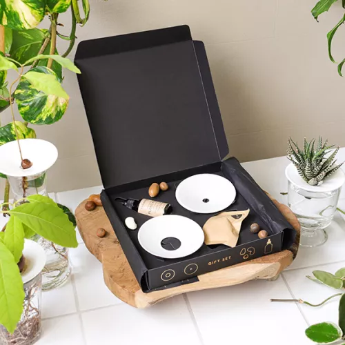 Coffret de germination