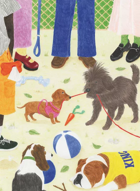 Puzzle SORTIR LE CHIEN, 1000 pièces – vue 2