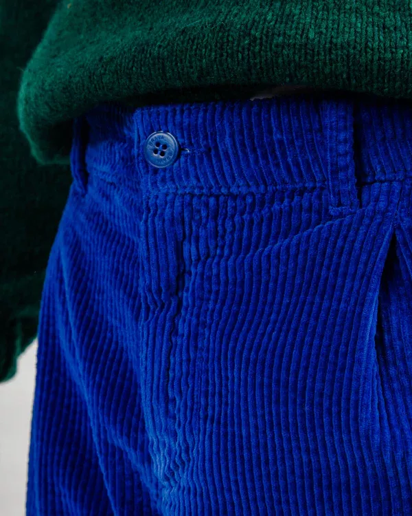 Pantalon à pinces en velours côtelé Bleu Klein – vue 5