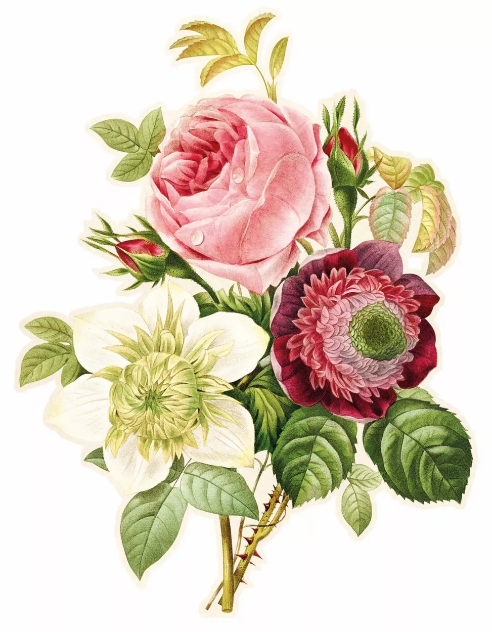 Puzzle d'art en bois ROSE ANEMONE ET CLEMATITE de Joseph Redouté - 80 pièces – vue 3